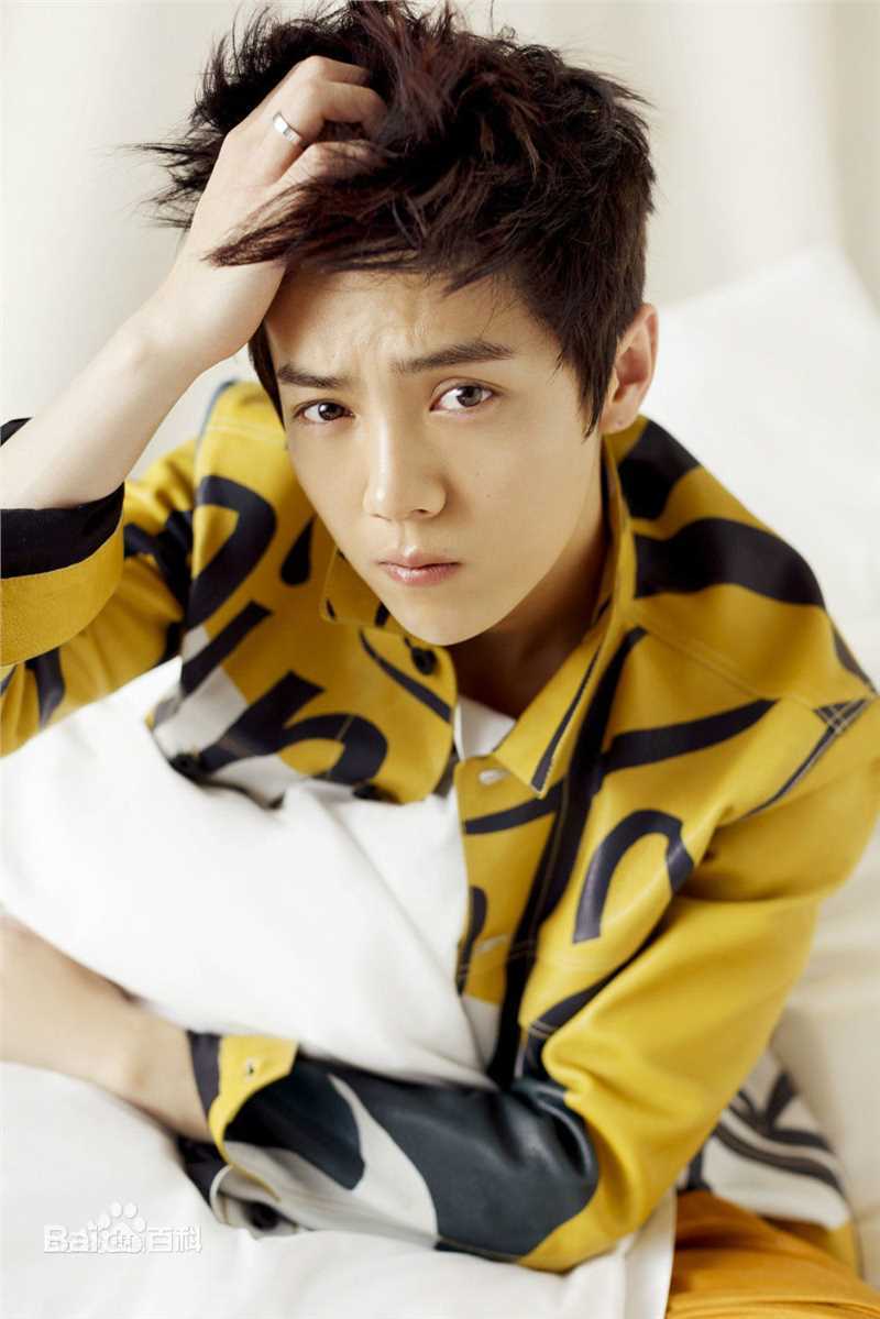 精选鹿晗(LUHAN)在《ELLE》首位单封内地男星中的图册