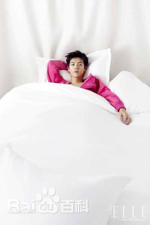 精选鹿晗(LUHAN)在《ELLE》首位单封内地男星中的图册