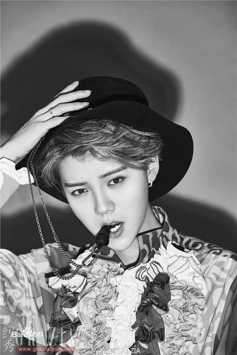 最全鹿晗(LUHAN)在《红秀GRAZIA》个人专刊中的壁纸