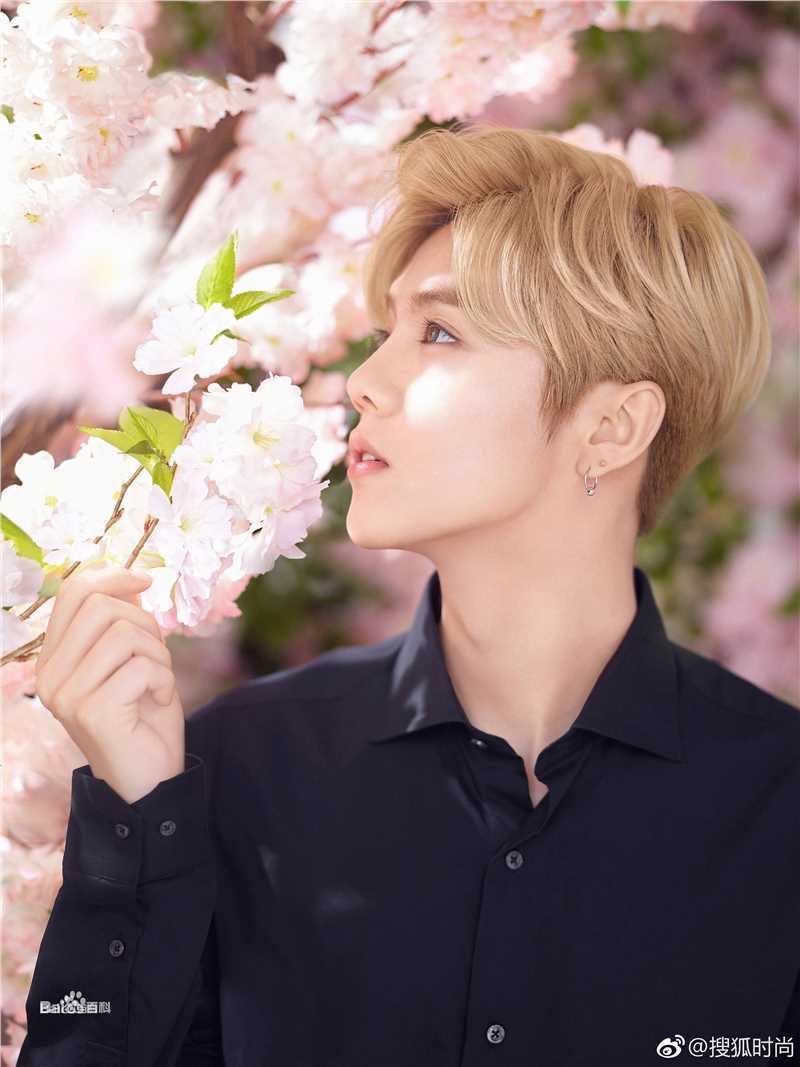 最优质鹿晗(LUHAN)在《时尚芭莎》2017年6月下中的