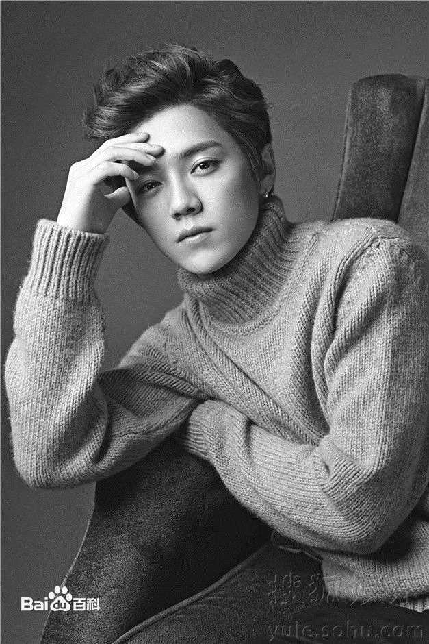 鹿晗(LUHAN)精选《人物》首位90后封面明星图册