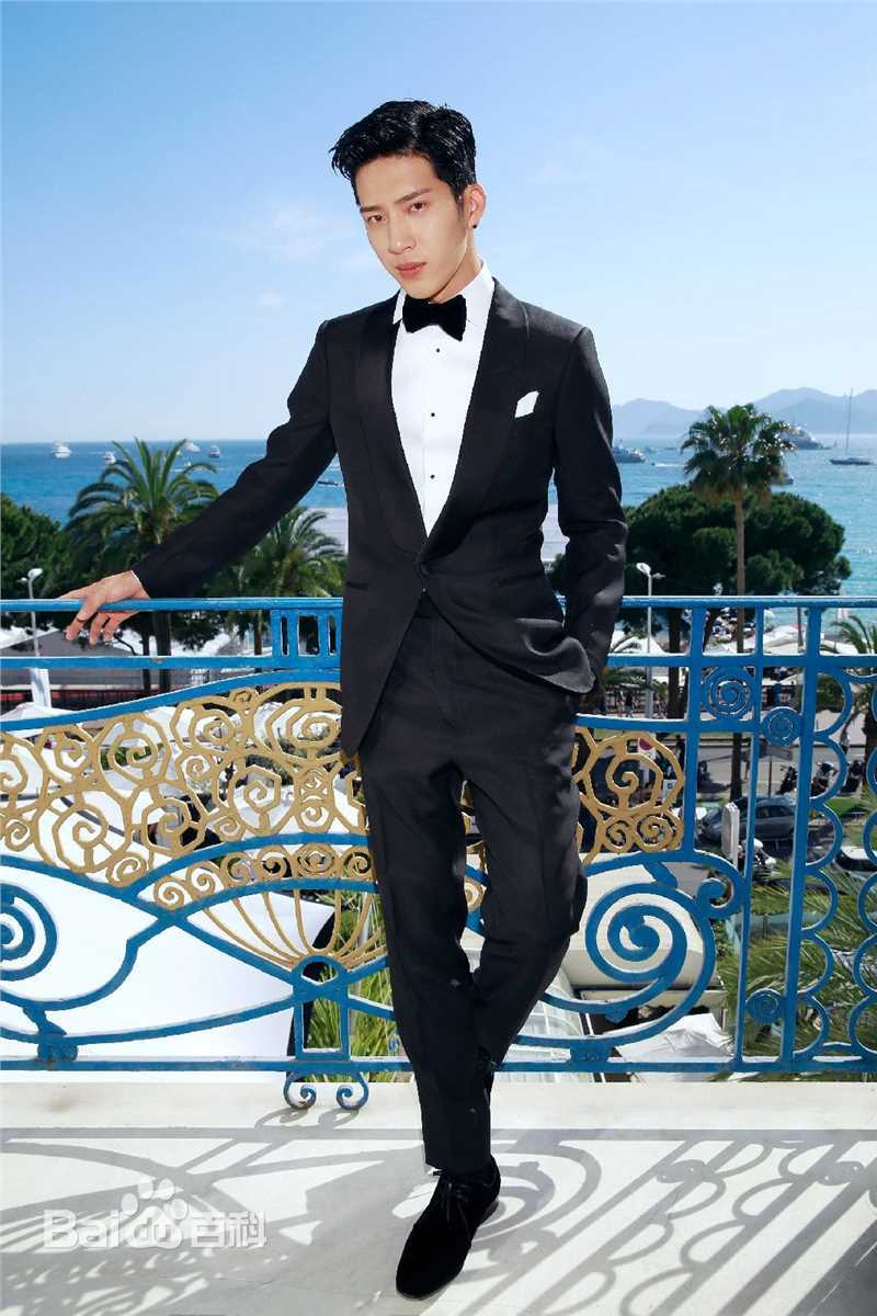 井柏然(Jing Bo Ran)戛纳电影节图册