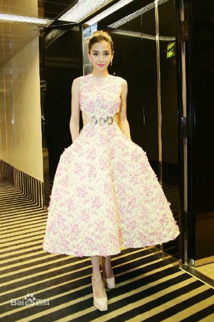 杨颖(Angelababy)出席活动典礼图片图册