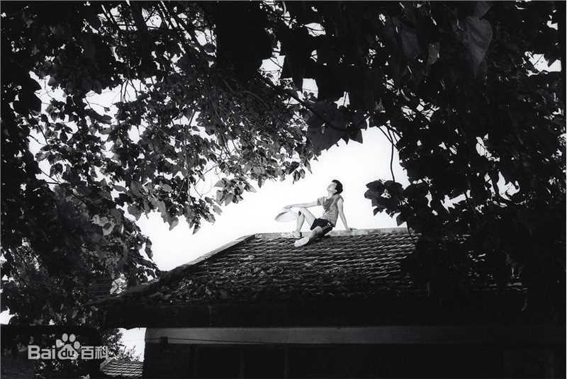 井柏然(Jing Bo Ran)在2010年《全城热恋》饰演小方中的