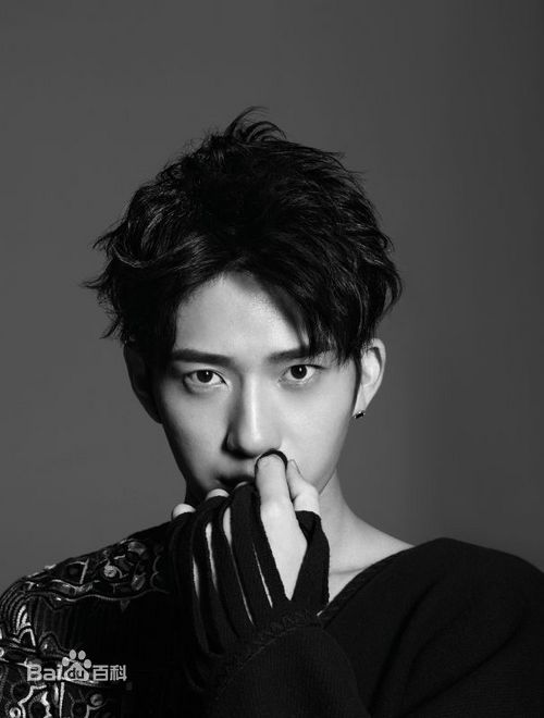 井柏然(Jing Bo Ran)概述图册壁纸壁纸