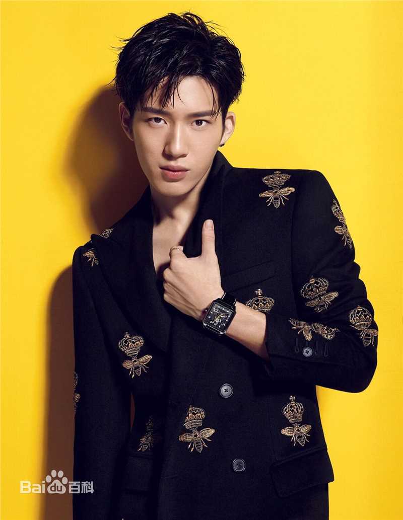 井柏然(Jing Bo Ran)概述图册壁纸壁纸