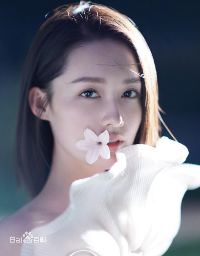 李沁(Li Qin)概述图册图片图册