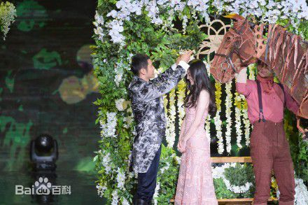 杨颖(Angelababy)跨年舞台表演生活照相册