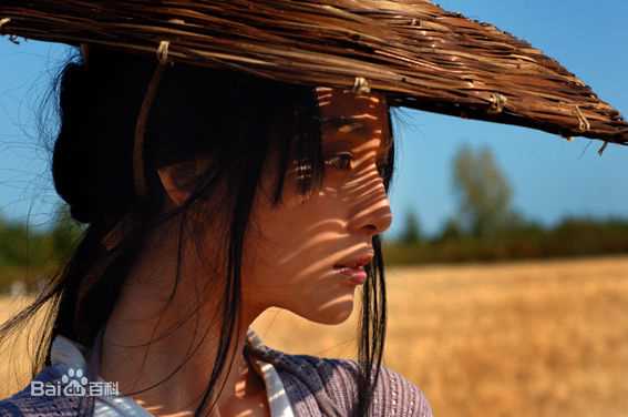 范冰冰(Fan Bingbing)参演电影高清剧照