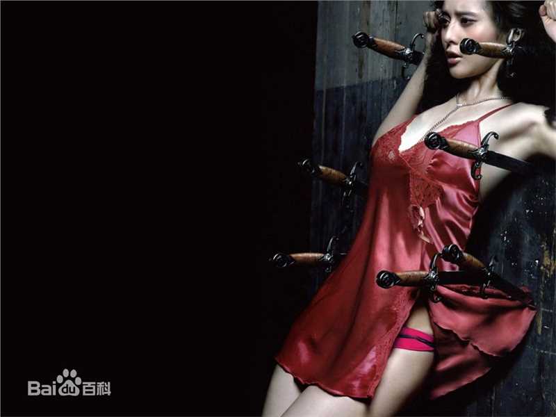 范冰冰(Fan Bingbing)高清杂志照片图集