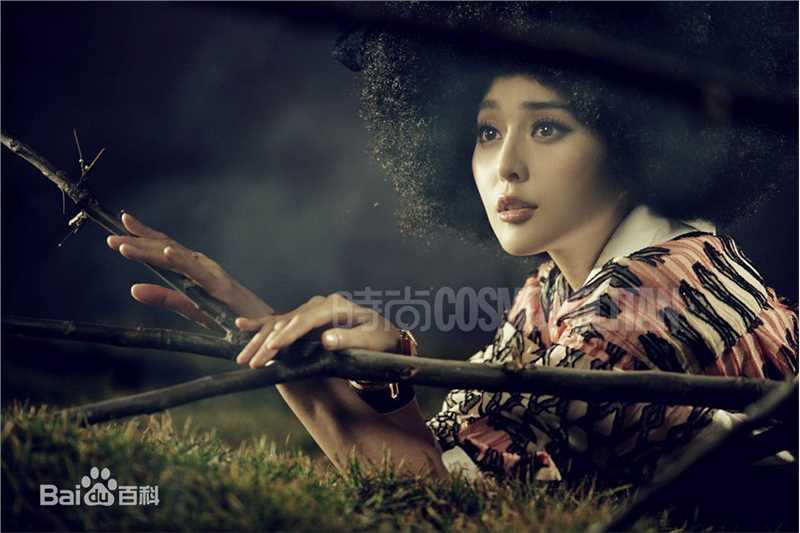 范冰冰(Fan Bingbing)高清杂志照片图集