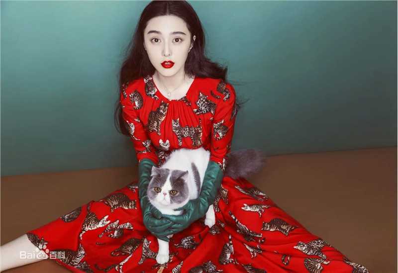 范冰冰(Fan Bingbing)精选杂志照片002图册