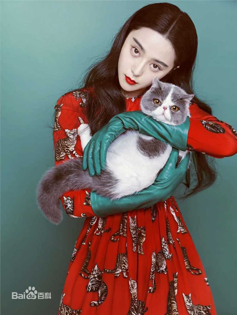 范冰冰(Fan Bingbing)高清杂志照片003图集