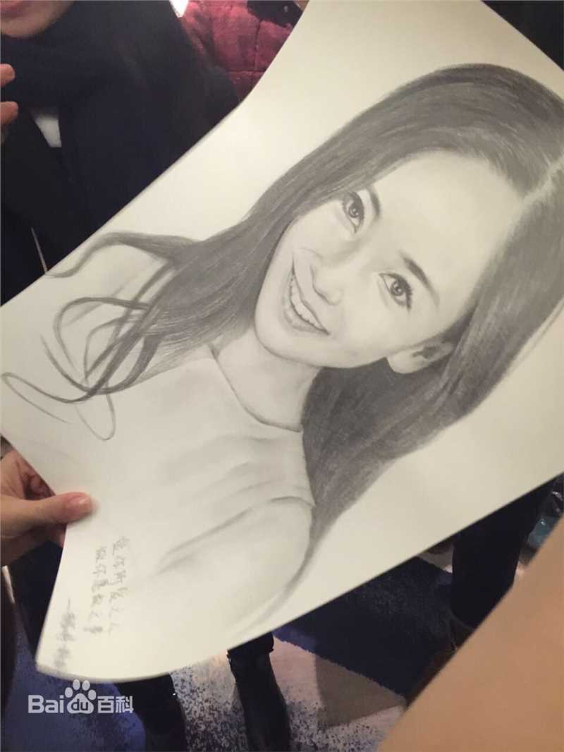 杨颖(Angelababy)饭绘1图册