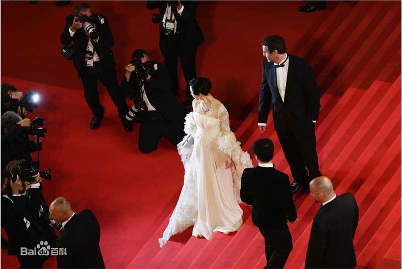 范冰冰(Fan Bingbing)红毯照片001素颜照相册