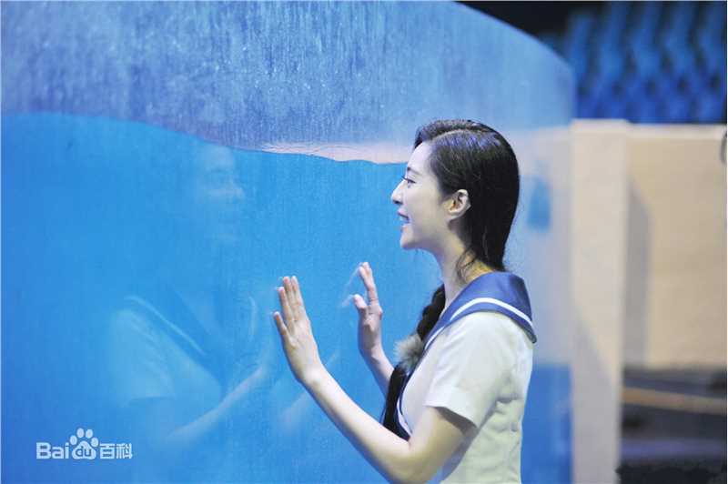 范冰冰(Fan Bingbing)综艺照片图片图册