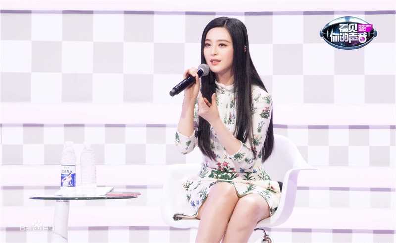 范冰冰(Fan Bingbing)综艺照片图片图册