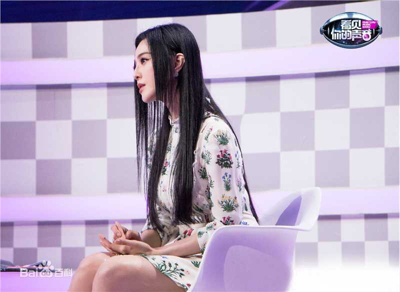 范冰冰(Fan Bingbing)综艺照片图片图册