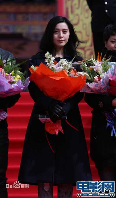 最全范冰冰(Fan Bingbing)精彩图册5