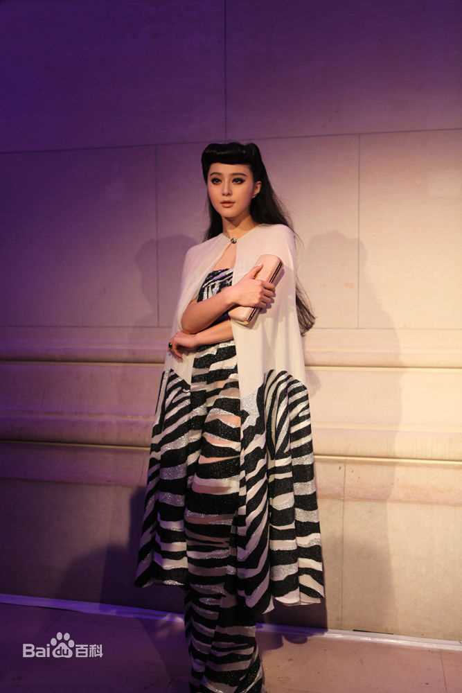 最全范冰冰(Fan Bingbing)精彩图册5