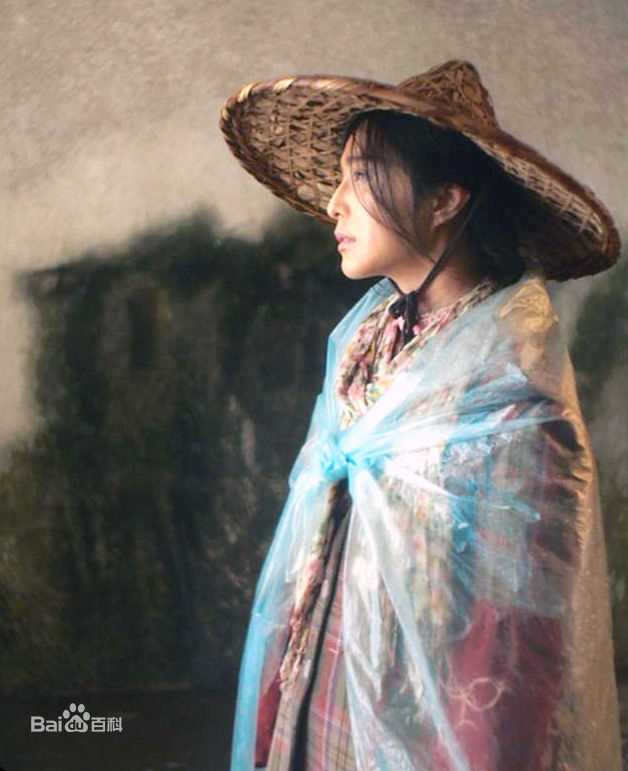 最新范冰冰(Fan Bingbing)在《我不是潘金莲》饰李雪莲中的壁纸