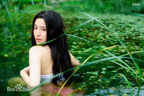 范冰冰(Fan Bingbing)最优质绿野仙踪相册
