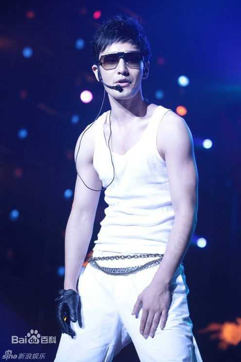 黄晓明(Huang Xiaoming)表演现场壁纸壁纸