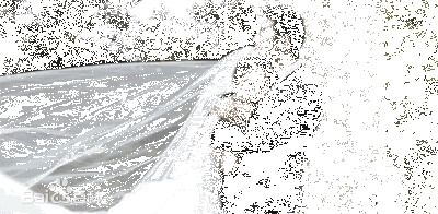 黄晓明(Huang Xiaoming)ah婚纱照素颜照相册