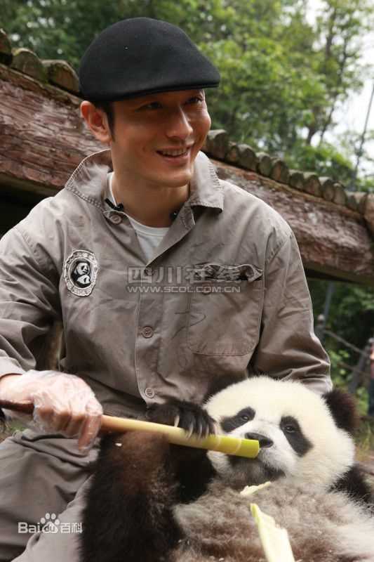 黄晓明(Huang Xiaoming)和熊猫前后照片