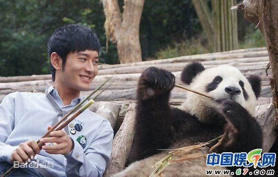 黄晓明(Huang Xiaoming)和熊猫前后照片