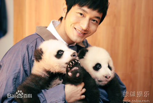 黄晓明(Huang Xiaoming)和熊猫前后照片