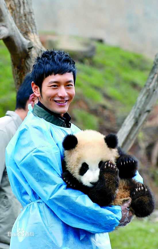 黄晓明(Huang Xiaoming)和熊猫前后照片