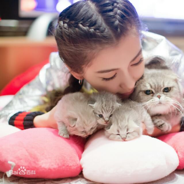 杨颖(Angelababy)baby和小宝贝图册