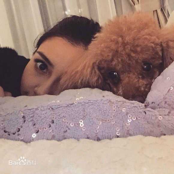 杨颖(Angelababy)baby和小宝贝图册