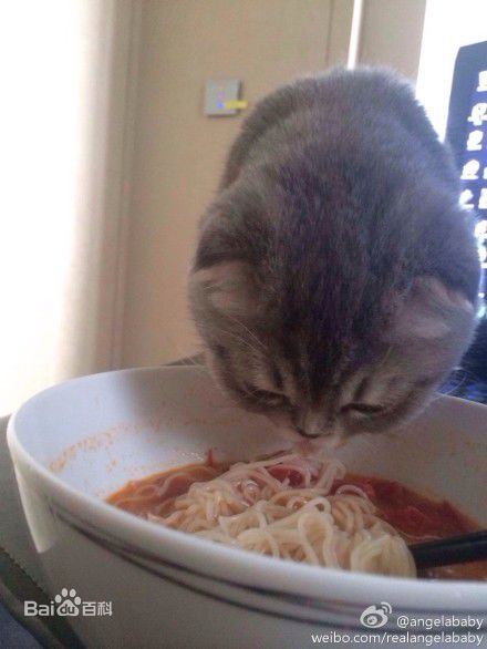 杨颖(Angelababy)baby和小宝贝图册