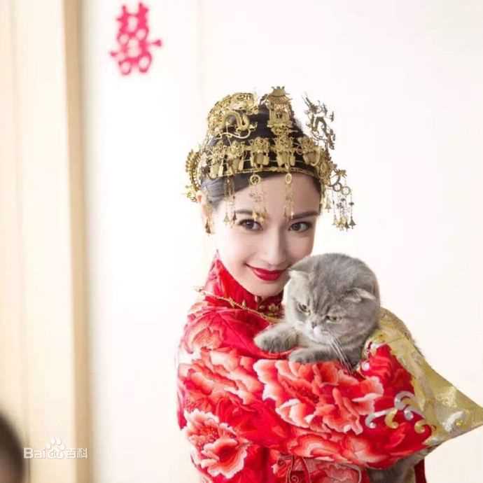 杨颖(Angelababy)baby和小宝贝图册