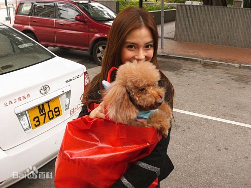 杨颖(Angelababy)baby和小宝贝图册