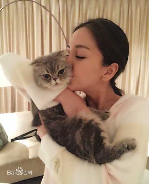 杨颖(Angelababy)baby和小宝贝图册