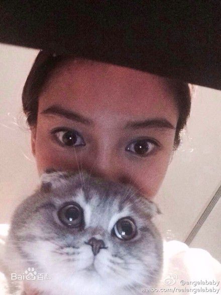 杨颖(Angelababy)baby和小宝贝图册