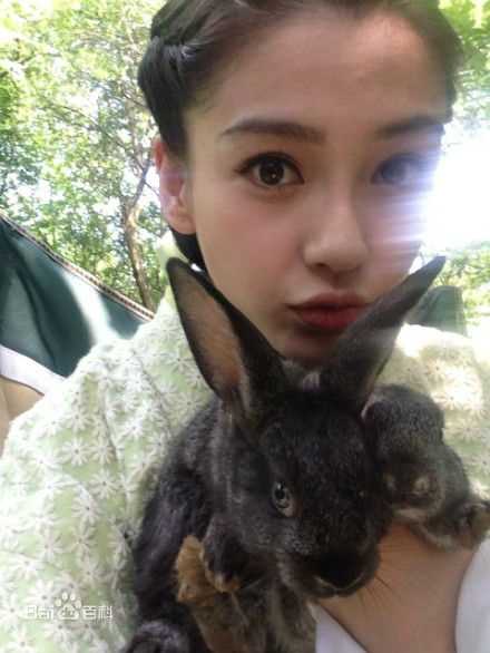 杨颖(Angelababy)baby和小宝贝图册