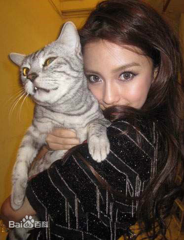 杨颖(Angelababy)baby和小宝贝图册