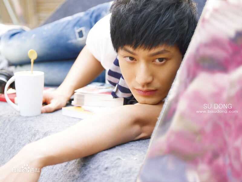 黄晓明(Huang Xiaoming)精选早期图册