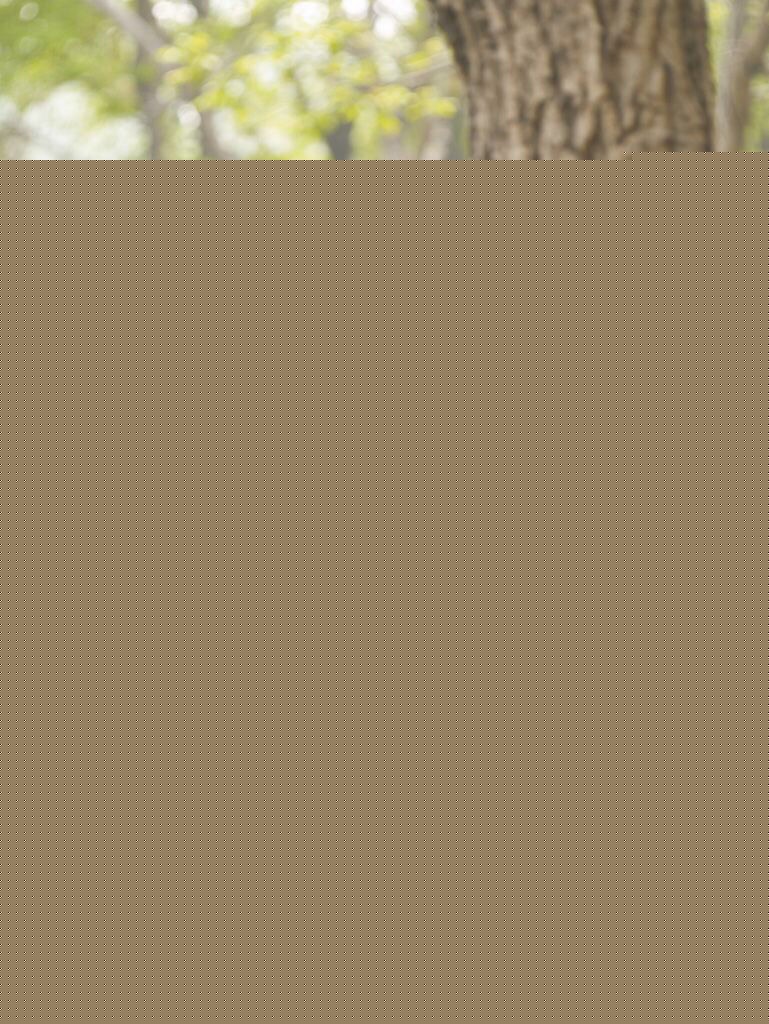 黄晓明(Huang Xiaoming)精选早期图册