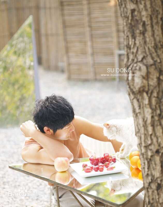 黄晓明(Huang Xiaoming)精选早期图册