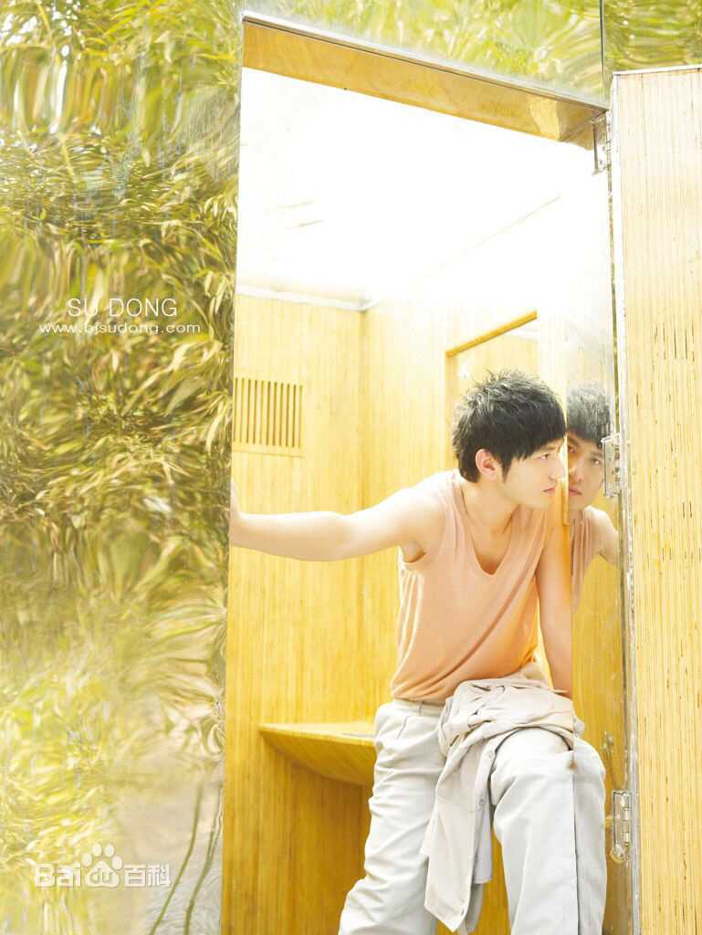 黄晓明(Huang Xiaoming)精选早期图册