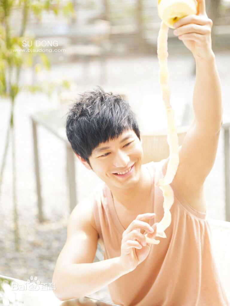 黄晓明(Huang Xiaoming)精选早期图册