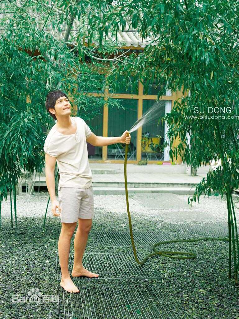 黄晓明(Huang Xiaoming)精选早期图册