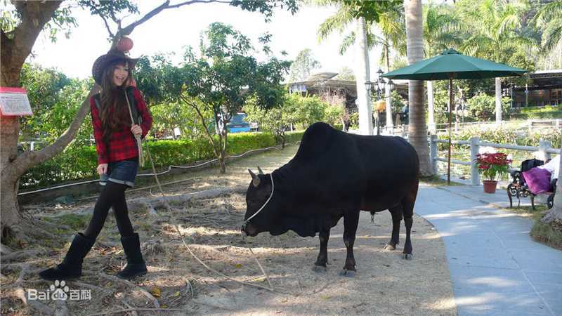 杨颖(Angelababy)微博+闺蜜前后照片