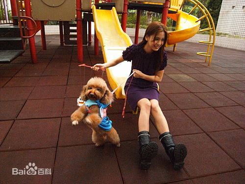 杨颖(Angelababy)微博+闺蜜前后照片