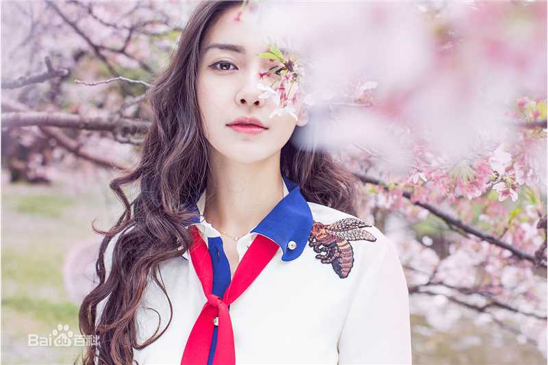 杨颖(Angelababy)樱花说前后照片